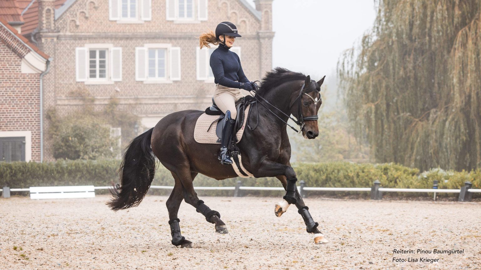 banner-homepage-1-de